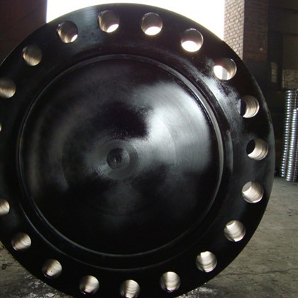 Flange